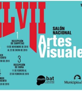 XLVII Salón Nacional de Artes Visuales Tandil