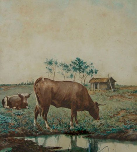 Vacas