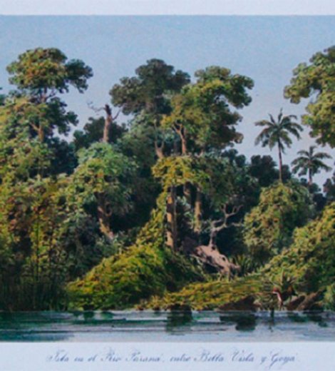 Isla en el Rio Paraná entre Bella Vista y Goya, Corrientes