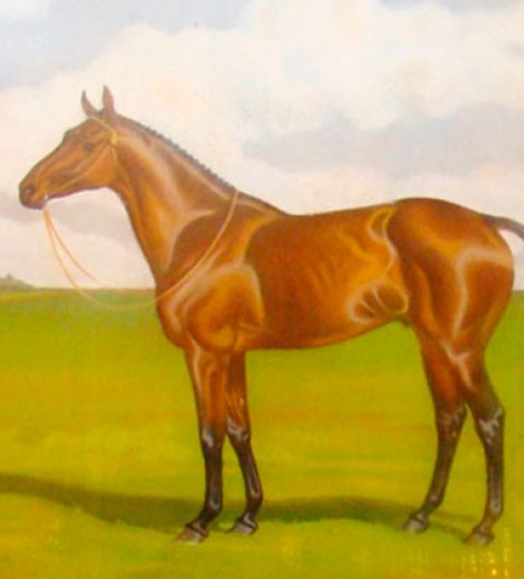 Caballo