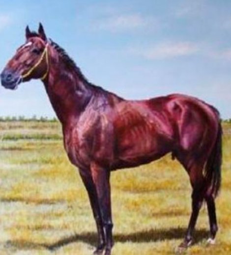 Caballo