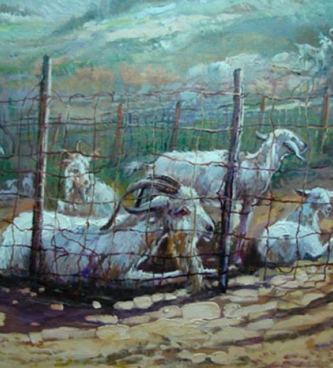 Cabras en el corral