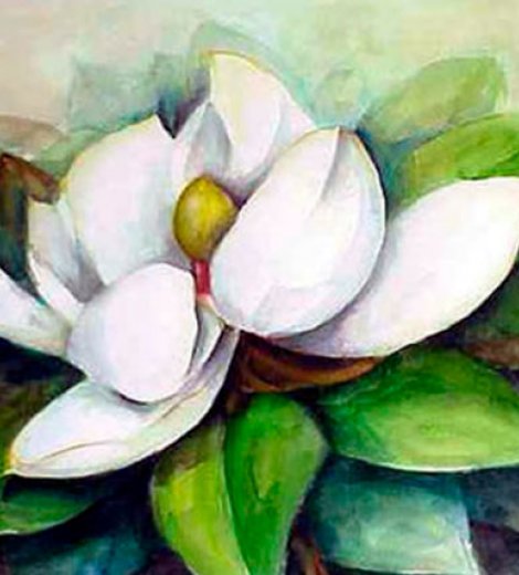 Magnolia