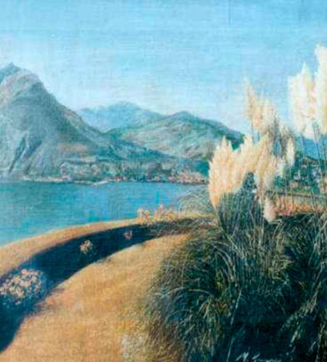 Carrizos en la costa